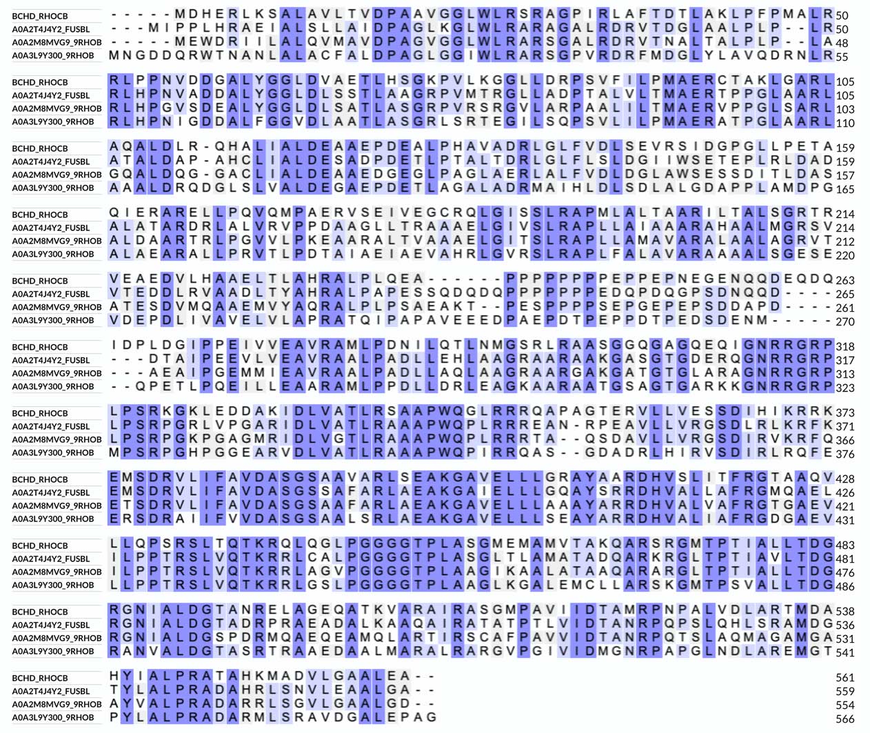 PDM250 mutation probability matrix