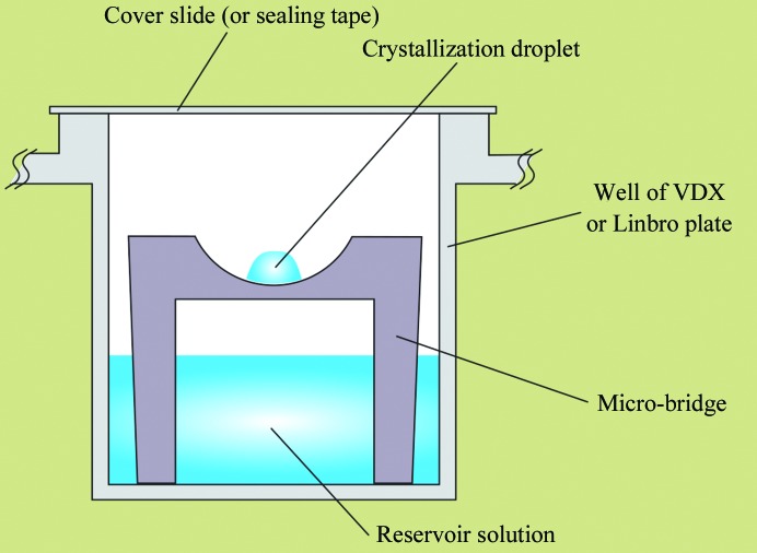 sitting drop crystallization
