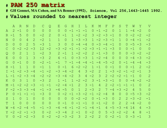PAM 250 scoring matrix