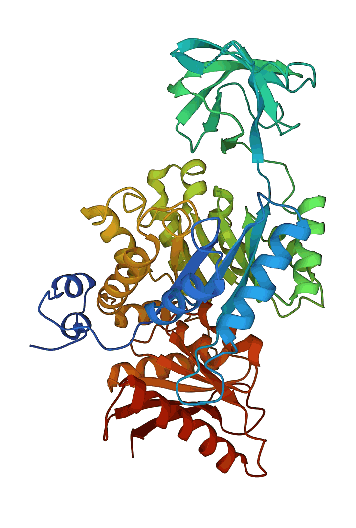 pyruvate kinase X-ray structure
