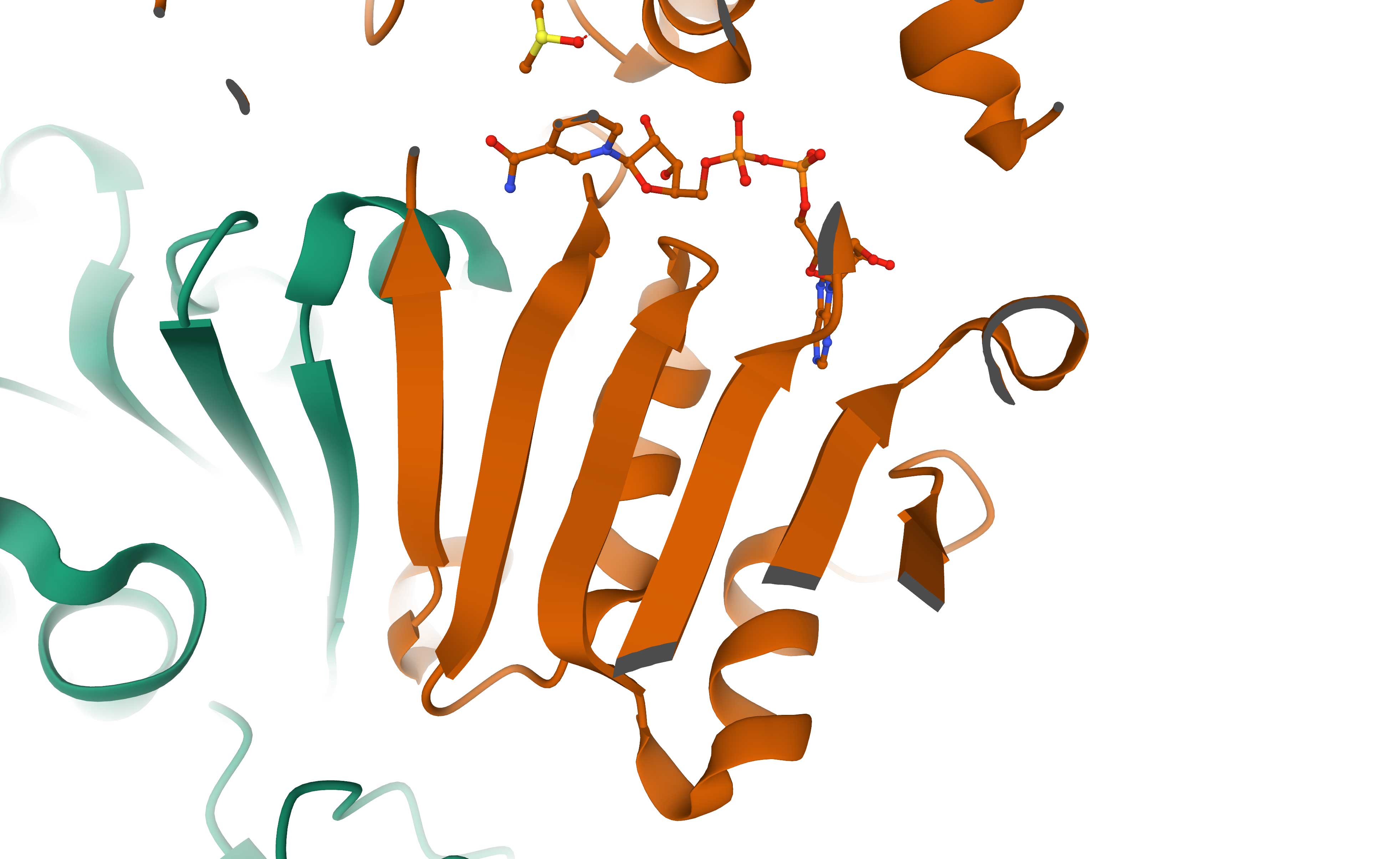 Leaver alcohol dehydrogenase structure PDB 2OHX