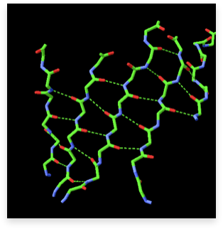 beta-sheet with stabilizing hydrogen bonds